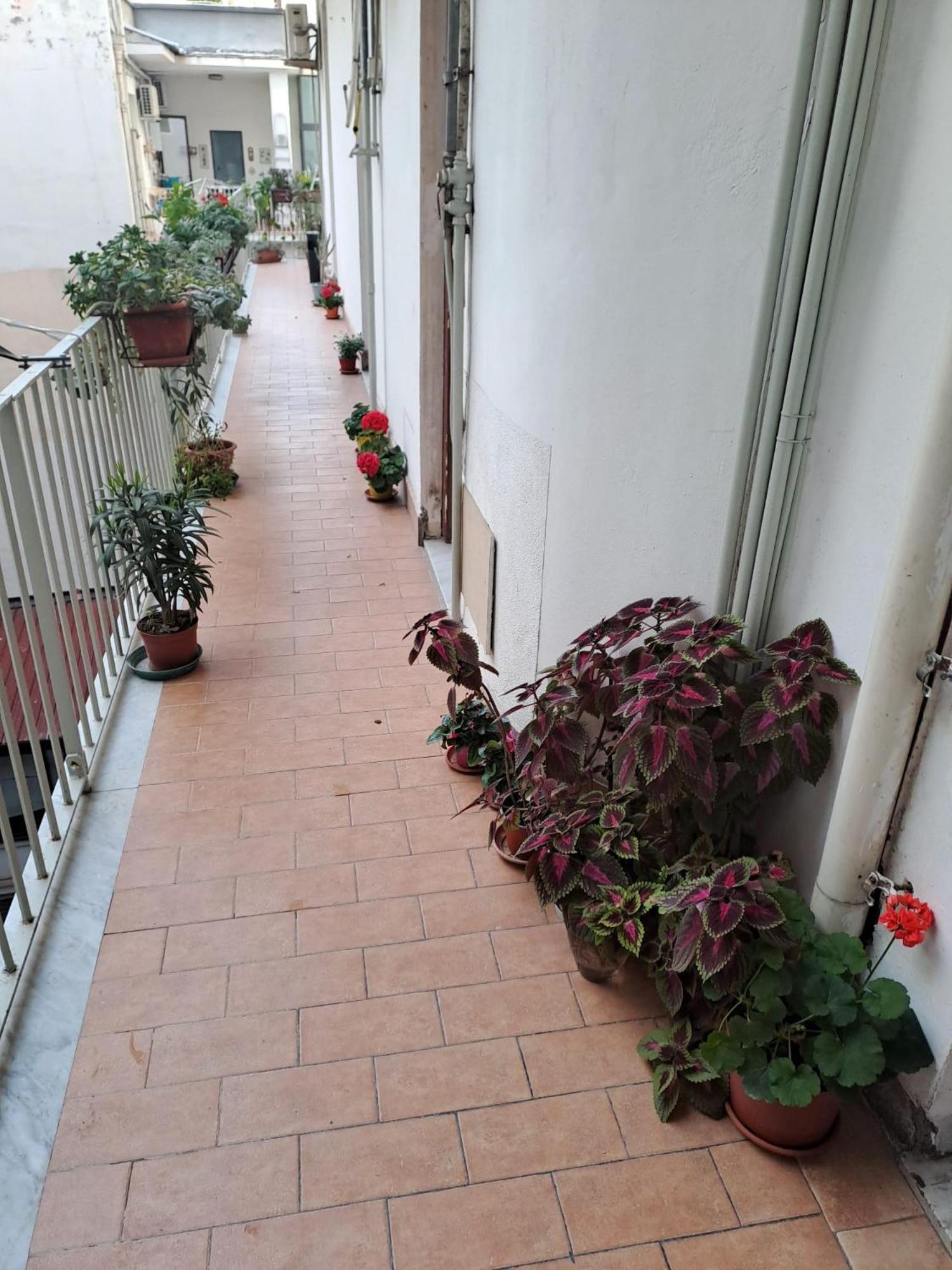 B&B Domus Pina CTA Exteriör bild